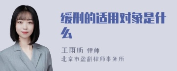 缓刑的适用对象是什么