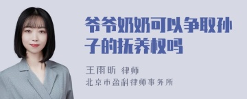 爷爷奶奶可以争取孙子的抚养权吗