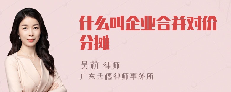 什么叫企业合并对价分摊