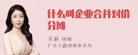 什么叫企业合并对价分摊