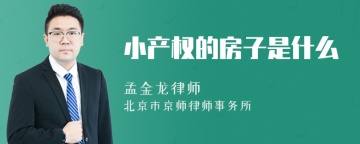 小产权的房子是什么