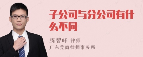 子公司与分公司有什么不同