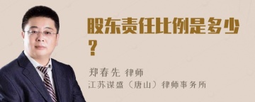 股东责任比例是多少？