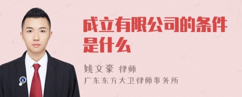 成立有限公司的条件是什么