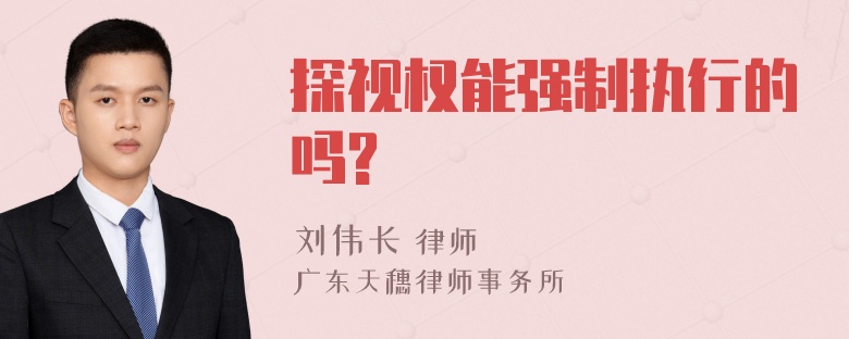 探视权能强制执行的吗?