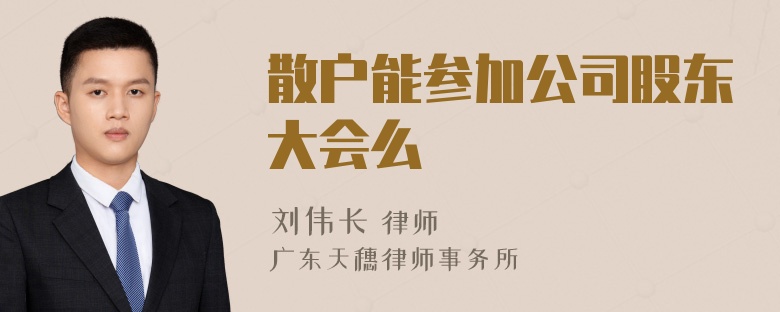 散户能参加公司股东大会么