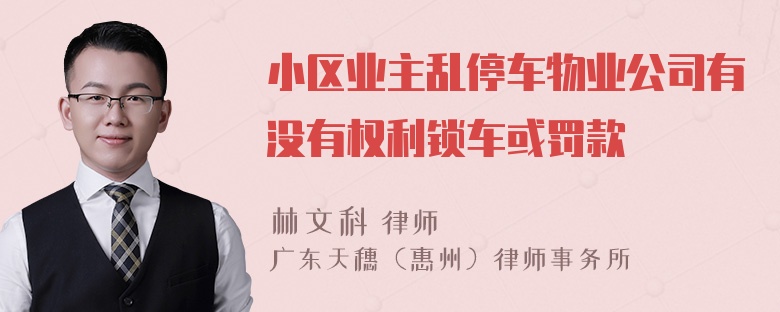 小区业主乱停车物业公司有没有权利锁车或罚款