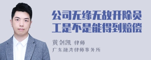 公司无缘无故开除员工是不是能得到赔偿