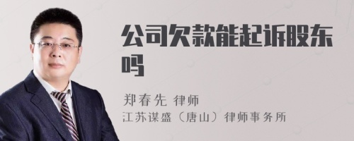 公司欠款能起诉股东吗