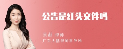 公告是红头文件吗