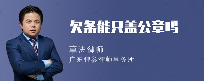 欠条能只盖公章吗