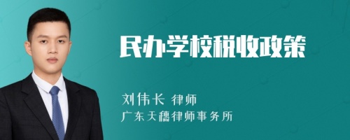 民办学校税收政策