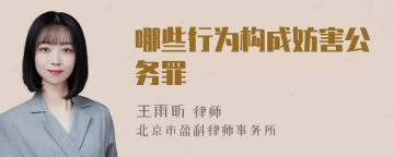 哪些行为构成妨害公务罪