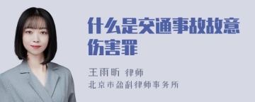 什么是交通事故故意伤害罪