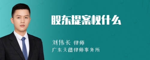 股东提案权什么