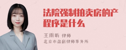 法院强制拍卖房的产程序是什么