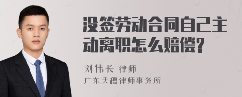 没签劳动合同自己主动离职怎么赔偿?