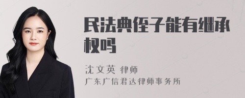 民法典侄子能有继承权吗