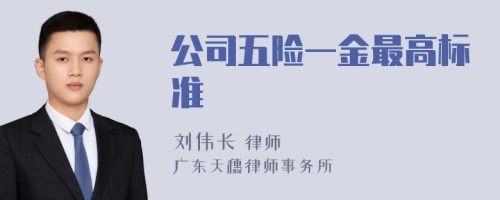 公司五险一金最高标准