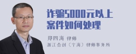 诈骗5000元以上案件如何处理