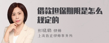 借款担保期限是怎么规定的