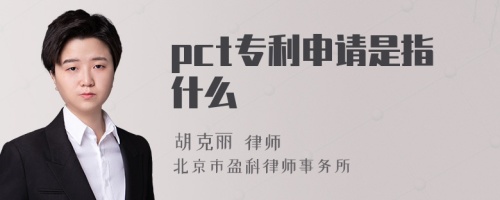 pct专利申请是指什么