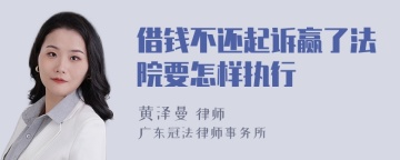 借钱不还起诉赢了法院要怎样执行