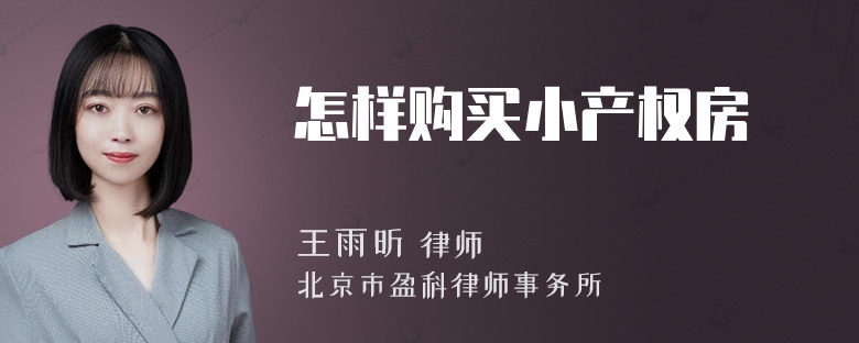 怎样购买小产权房