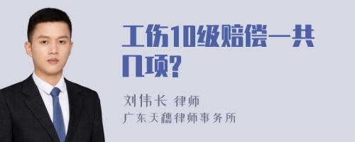 工伤10级赔偿一共几项?