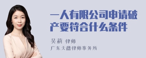 一人有限公司申请破产要符合什么条件