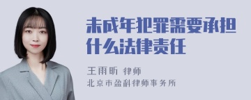 未成年犯罪需要承担什么法律责任