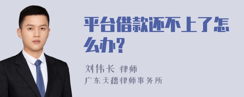 平台借款还不上了怎么办?