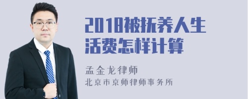 2018被抚养人生活费怎样计算