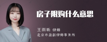 房子限购什么意思