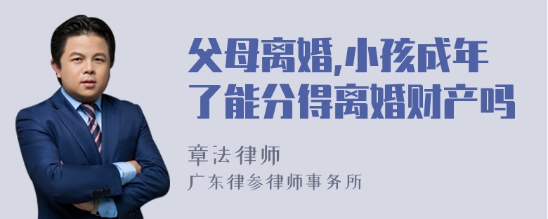 父母离婚,小孩成年了能分得离婚财产吗