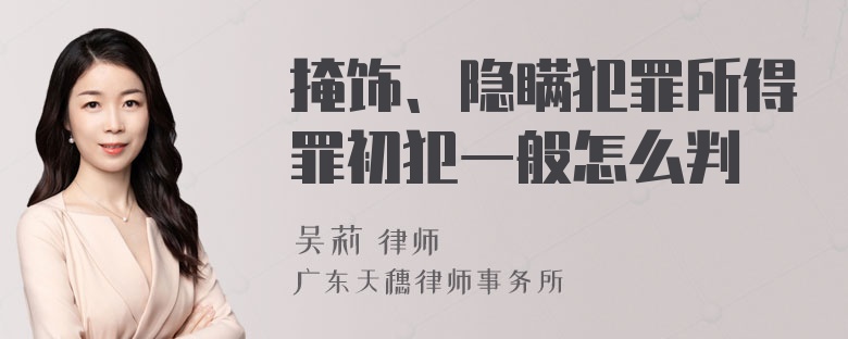 掩饰、隐瞒犯罪所得罪初犯一般怎么判