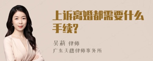 上诉离婚都需要什么手续?