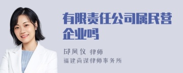 有限责任公司属民营企业吗