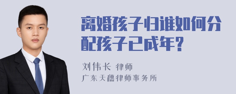 离婚孩子归谁如何分配孩子已成年?