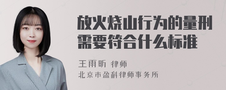 放火烧山行为的量刑需要符合什么标准