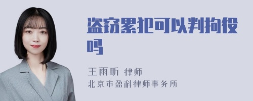 盗窃累犯可以判拘役吗