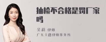 抽检不合格是罚厂家吗