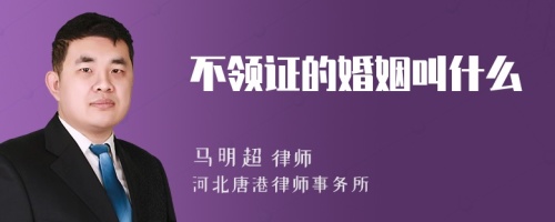 不领证的婚姻叫什么
