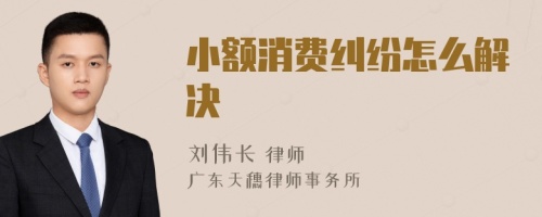 小额消费纠纷怎么解决