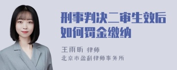 刑事判决二审生效后如何罚金缴纳