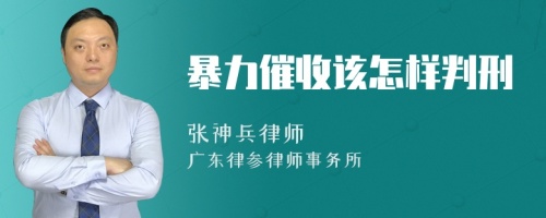 暴力催收该怎样判刑