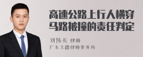 高速公路上行人横穿马路被撞的责任判定