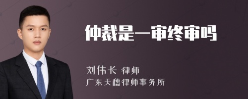 仲裁是一审终审吗