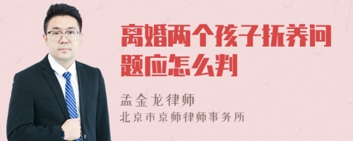 离婚两个孩子抚养问题应怎么判