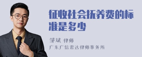 征收社会抚养费的标准是多少